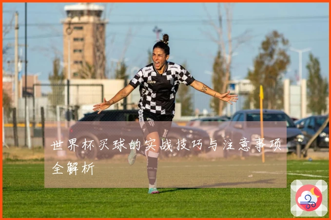 世界杯买球的实战技巧与注意事项全解析