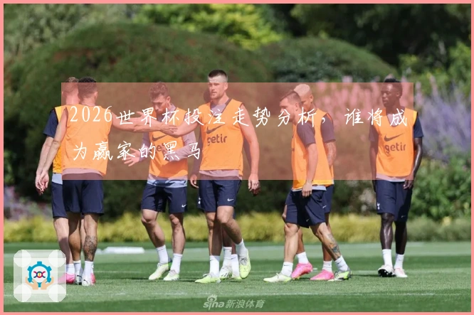 2026世界杯投注走势分析,谁将成为赢家的黑马