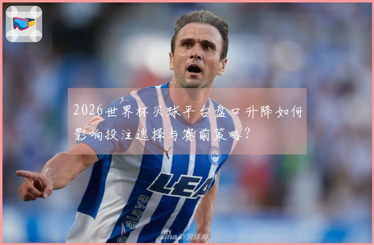 2026世界杯买球平台盘口升降如何影响投注选择与赛前策略？