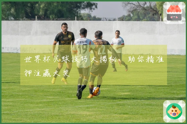 世界杯买球技巧大揭秘，助你精准押注赢大奖