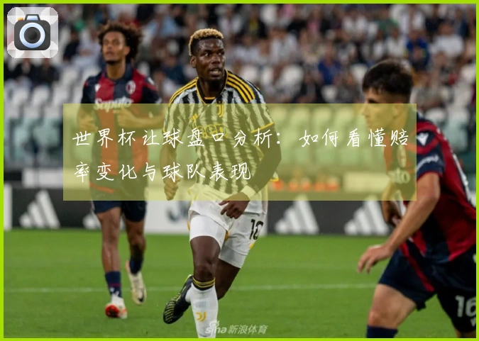 世界杯让球盘口分析：如何看懂赔率变化与球队表现