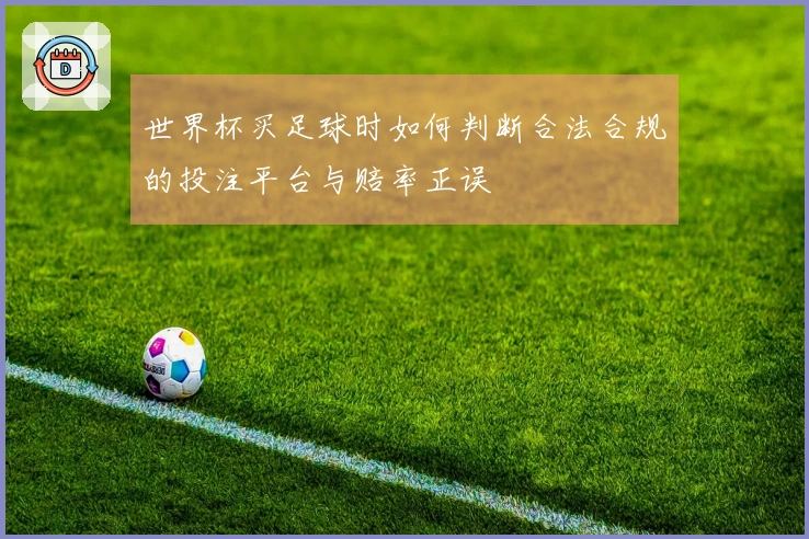 世界杯买足球时如何判断合法合规的投注平台与赔率正误