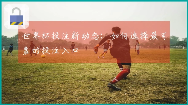 世界杯投注新动态：如何选择最可靠的投注入口