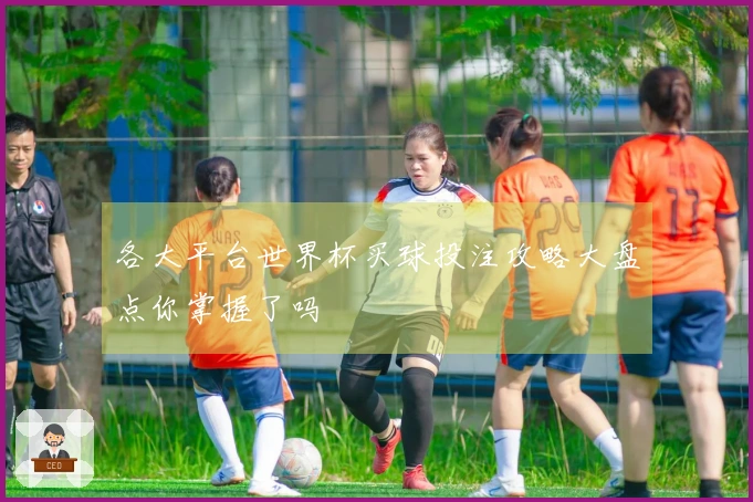 各大平台世界杯买球投注攻略大盘点你掌握了吗