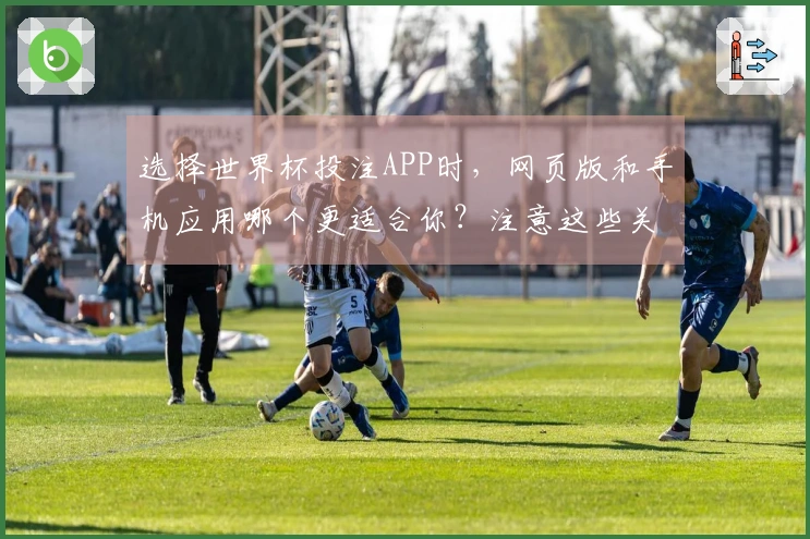 选择世界杯投注APP时，网页版和手机应用哪个更适合你？注意这些关键区别！