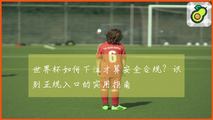 世界杯如何下注才算安全合规？识别正规入口的实用指南
