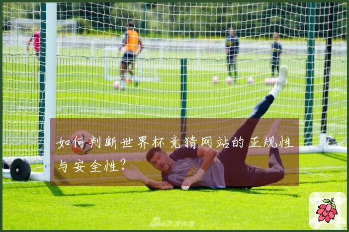 如何判断世界杯竞猜网站的正规性与安全性？