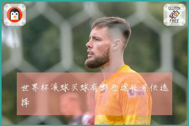 世界杯滚球买球有哪些途径可供选择