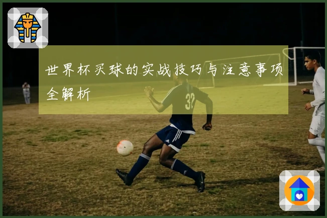 世界杯买球的实战技巧与注意事项全解析