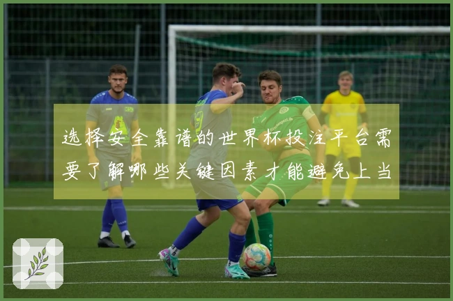 选择安全靠谱的世界杯投注平台需要了解哪些关键因素才能避免上当