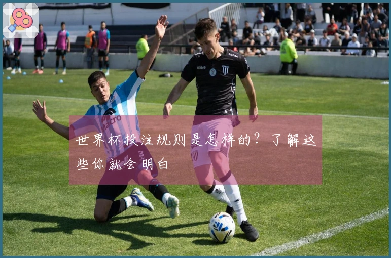 世界杯投注规则是怎样的？了解这些你就会明白