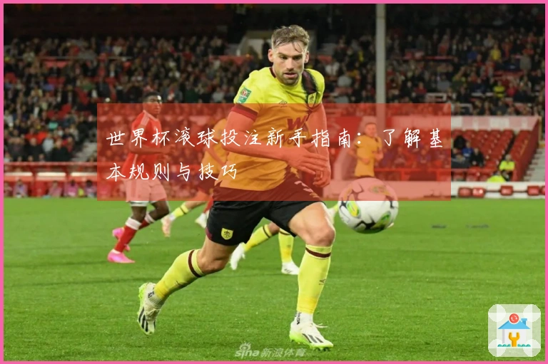 世界杯滚球投注新手指南：了解基本规则与技巧