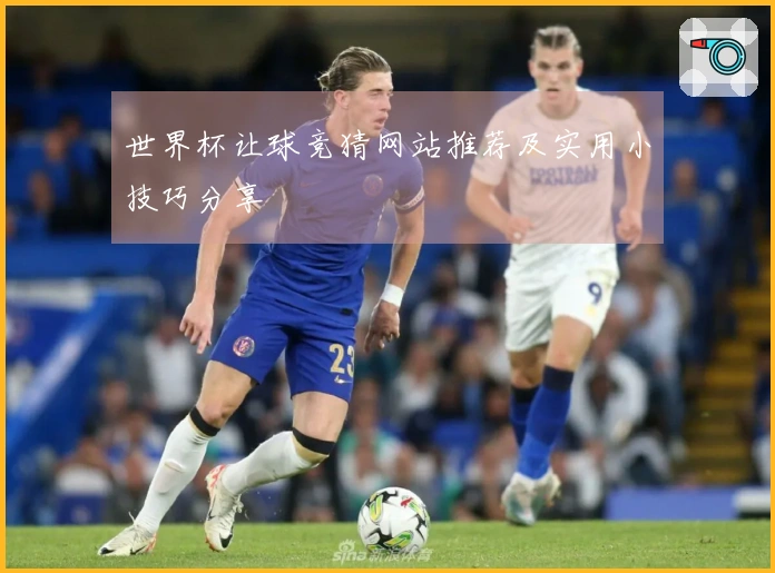 世界杯让球竞猜网站推荐及实用小技巧分享