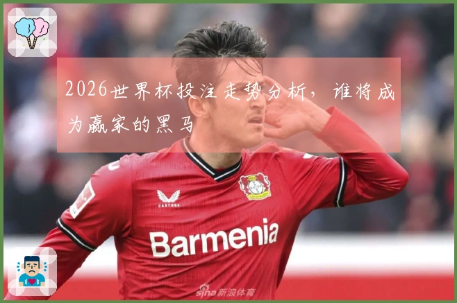 2026世界杯投注走势分析，谁将成为赢家的黑马