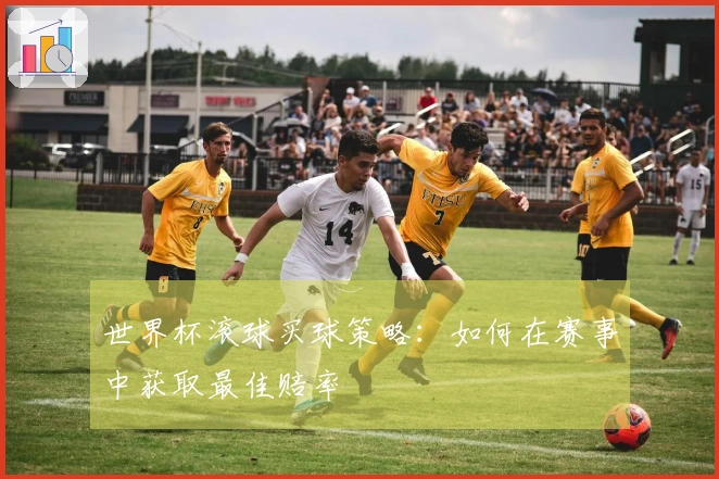 世界杯滚球买球策略：如何在赛事中获取最佳赔率
