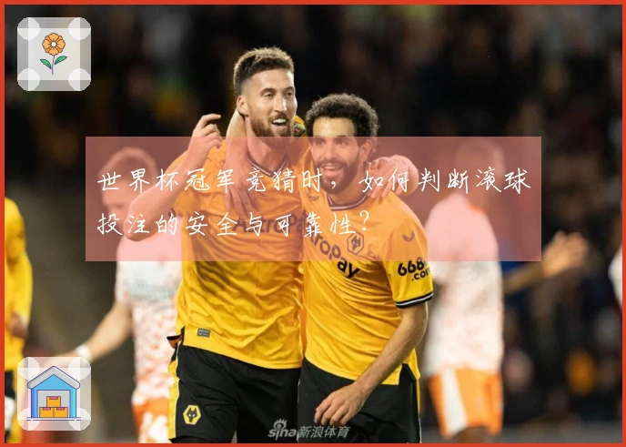 世界杯冠军竞猜时，如何判断滚球投注的安全与可靠性？