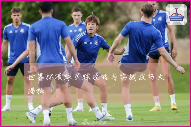 世界杯滚球买球攻略与实战技巧大揭秘