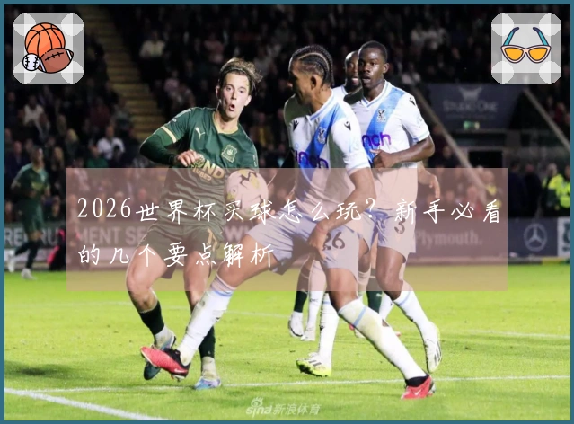 2026世界杯买球怎么玩？新手必看的几个要点解析