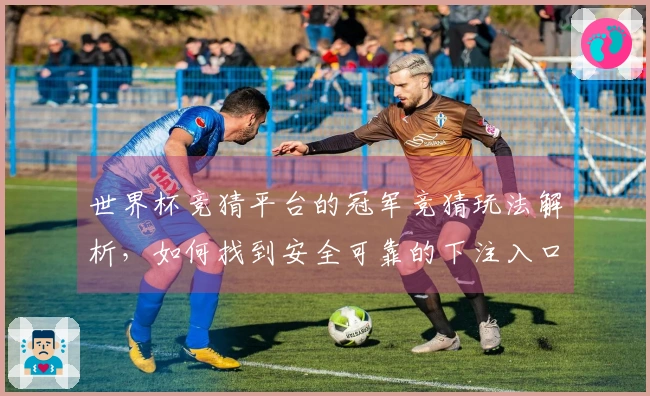 世界杯竞猜平台的冠军竞猜玩法解析，如何找到安全可靠的下注入口？