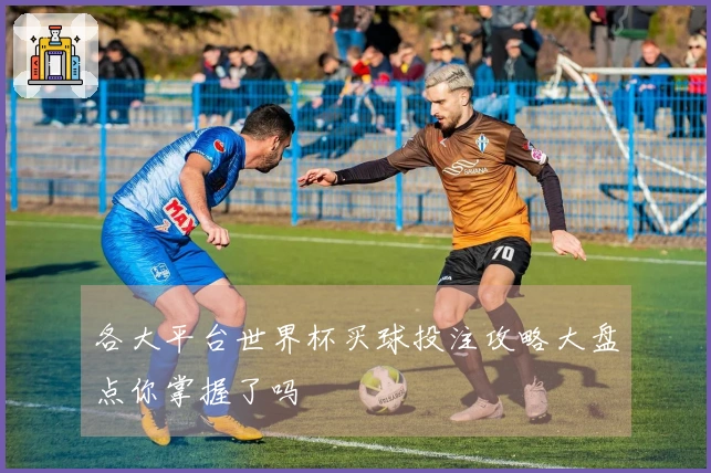 各大平台世界杯买球投注攻略大盘点你掌握了吗