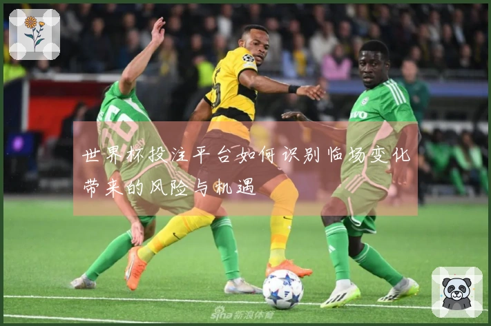 世界杯投注平台如何识别临场变化带来的风险与机遇