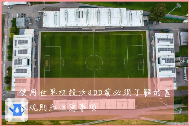 使用世界杯投注app前必须了解的基本规则和注意事项