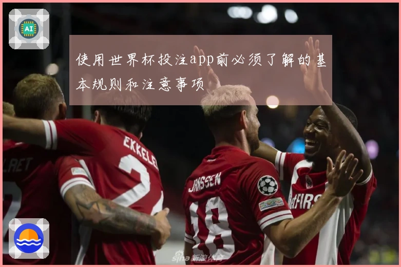 使用世界杯投注app前必须了解的基本规则和注意事项