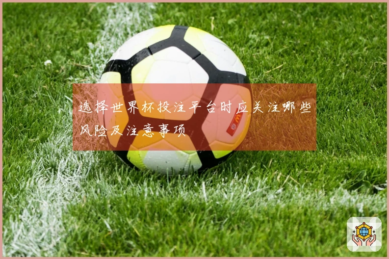 选择世界杯投注平台时应关注哪些风险及注意事项