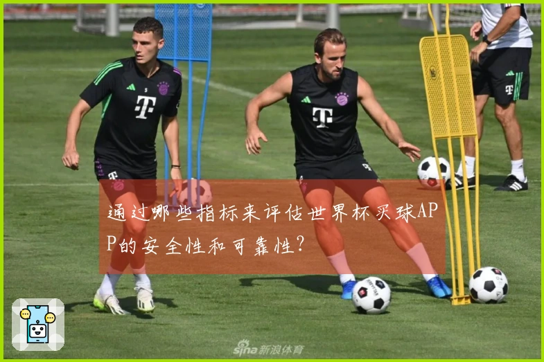 通过哪些指标来评估世界杯买球APP的安全性和可靠性？