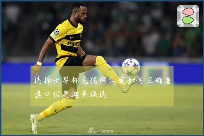 选择世界杯竞猜网站前如何正确看盘口信息避免误选