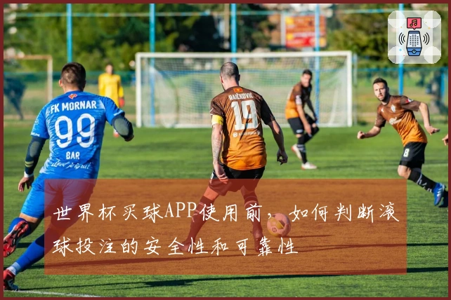 世界杯买球APP使用前，如何判断滚球投注的安全性和可靠性