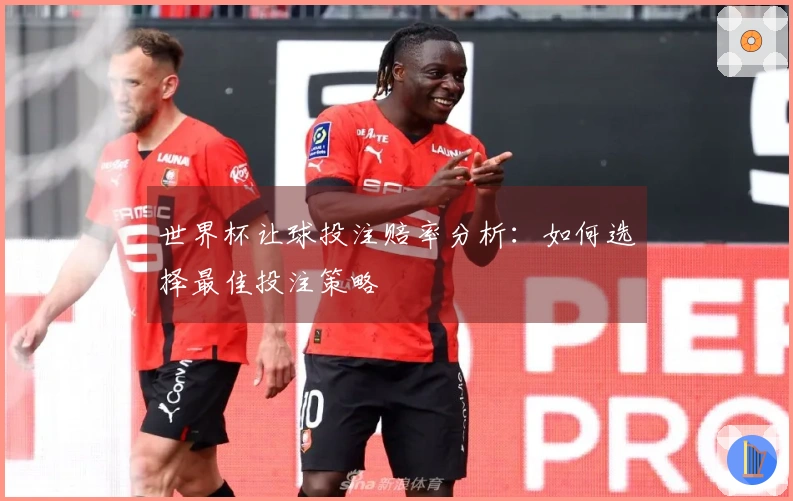 世界杯让球投注赔率分析：如何选择最佳投注策略