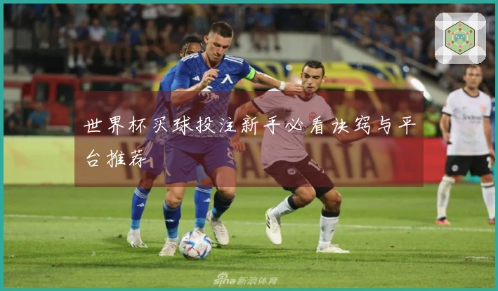 世界杯买球投注新手必看诀窍与平台推荐