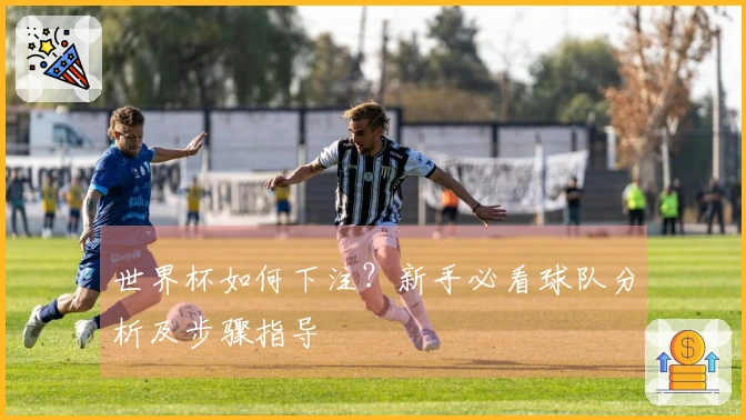 世界杯如何下注？新手必看球队分析及步骤指导