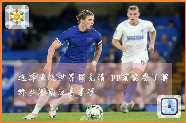 选择正规世界杯竞猜app前需要了解哪些赛前注意事项